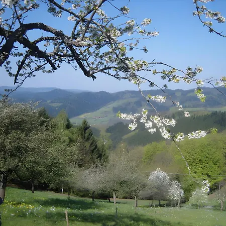 Langenberghof Apartman *
