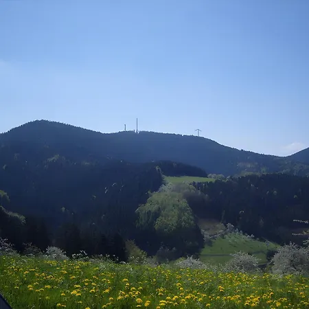 Langenberghof Oberharmersbach