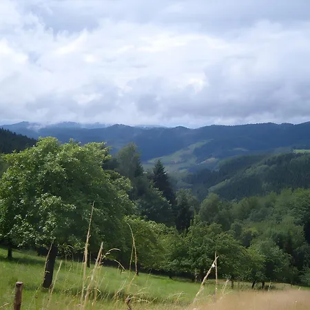 Langenberghof * Oberharmersbach