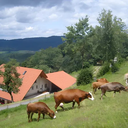 Langenberghof Oberharmersbach