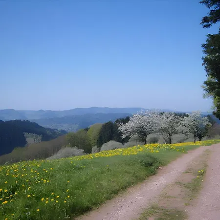Langenberghof Apartamento *