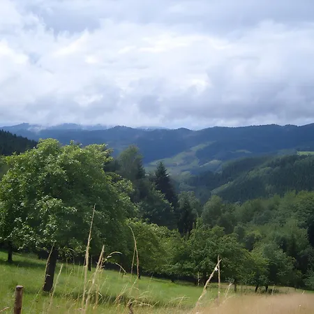 Langenberghof Apartamento Oberharmersbach