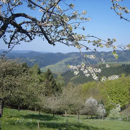 Appartement Langenberghof *
