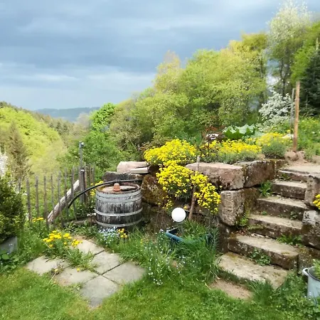Appartement Langenberghof Oberharmersbach
